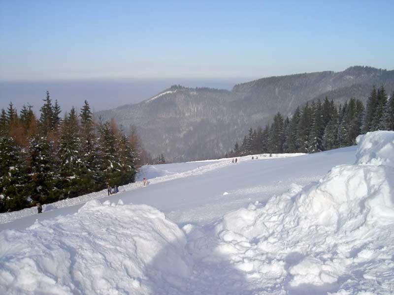Holzhaus "Zum Schwarz'N" Apartment Aurach am Hongar Luaran gambar